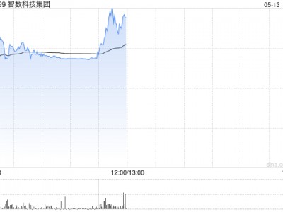 智数科技集团复牌飙升逾408% 就配售协议订立补充协议