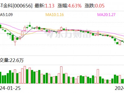 *ST金科重整草案已基本形成 董事长、总裁月薪降至3万元