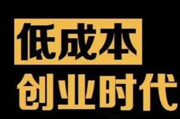 2024年最受欢迎的4个小投资大回报的生意看完受益一生 创业项目 第1张